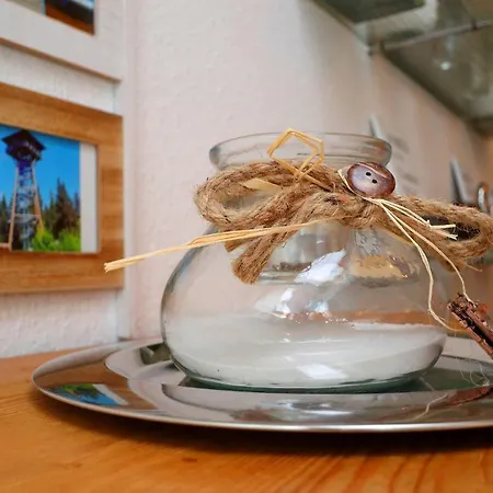 Auszeit Schluchsee - Fewo Tanja - Oase Der Stille -