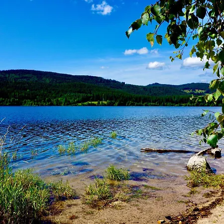 Auszeit Schluchsee - Fewo Tanja - Oase Der Stille - *