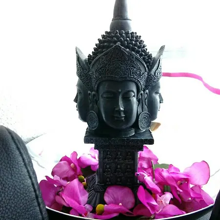 Auszeit Schluchsee - Fewo Tanja - Oase Der Stille -